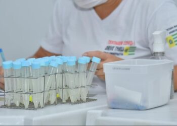 Aparecida identifica nova subvariante do coronavírus com alta transmissibilidade; Brasil soma 7 casos