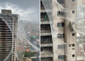 Forte chuva em Goiânia causa estragos e deixa trabalhadores pendurados em prédio