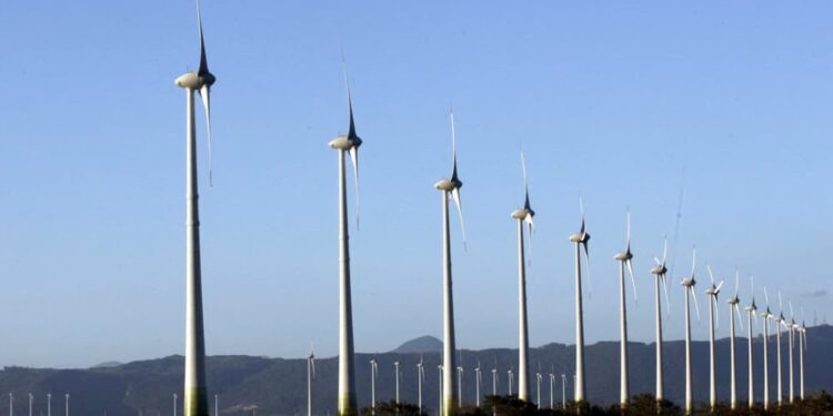 Futuro verde: geração de energia renovável bate recorde no Brasil