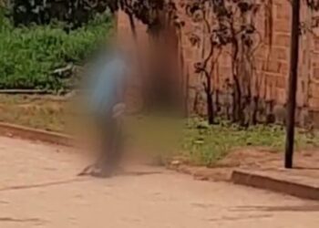 Idosa é presa após ser filmada espancando e arrastando cachorro, em Goiás