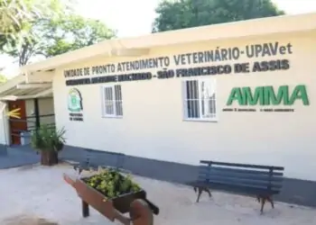 UPAVet: inaugurado centro cirúrgico de 1º hospital público veterinário em Goiânia