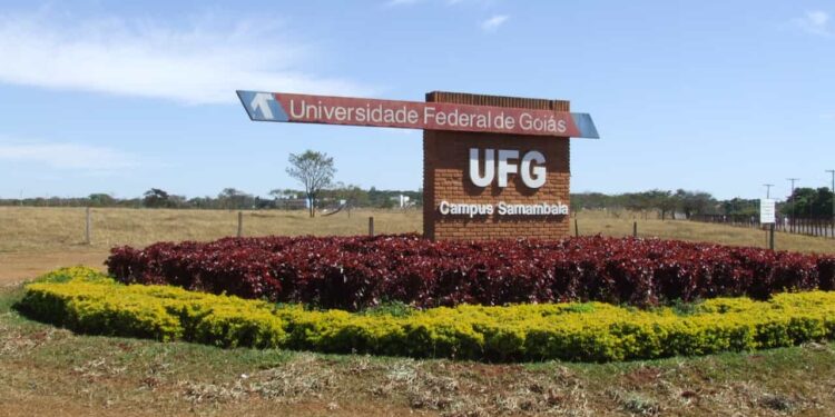 Concurso UFG tem 85 vagas para diversos cargos; salários de até 4,5 mil
