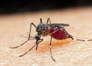Malária em Goiás