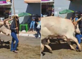Vídeo: boi ataca mulher durante festa de carreiros em Ouro Verde de Goiás