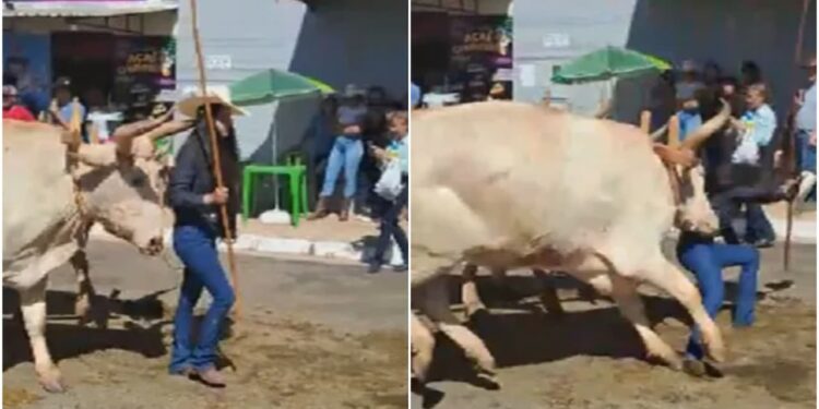 Vídeo: boi ataca mulher durante festa de carreiros em Ouro Verde de Goiás