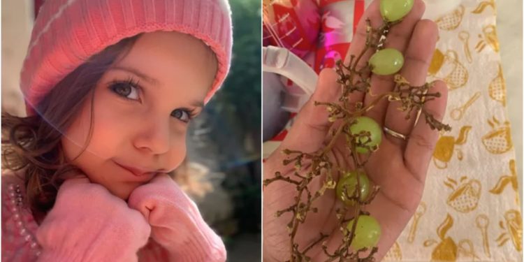 Criança de 3 anos morre após se engasgar com uva, em Goiânia