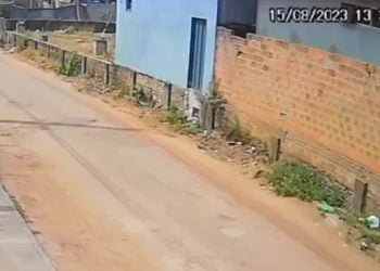 Vídeo: Observatório sismológico registra terremoto em cidade de Goiás
