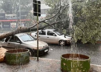 Goiânia prepara plano de contingenciamento para casos de tempestades