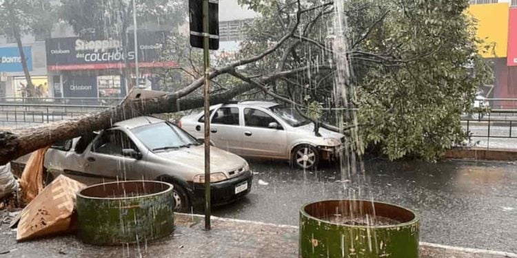 Goiânia prepara plano de contingenciamento para casos de tempestades