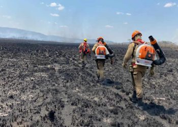 Goiás declara estado de emergência ambiental devido riscos de incêndios florestais