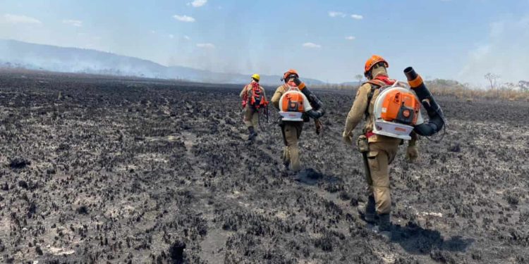 Goiás declara estado de emergência ambiental devido riscos de incêndios florestais