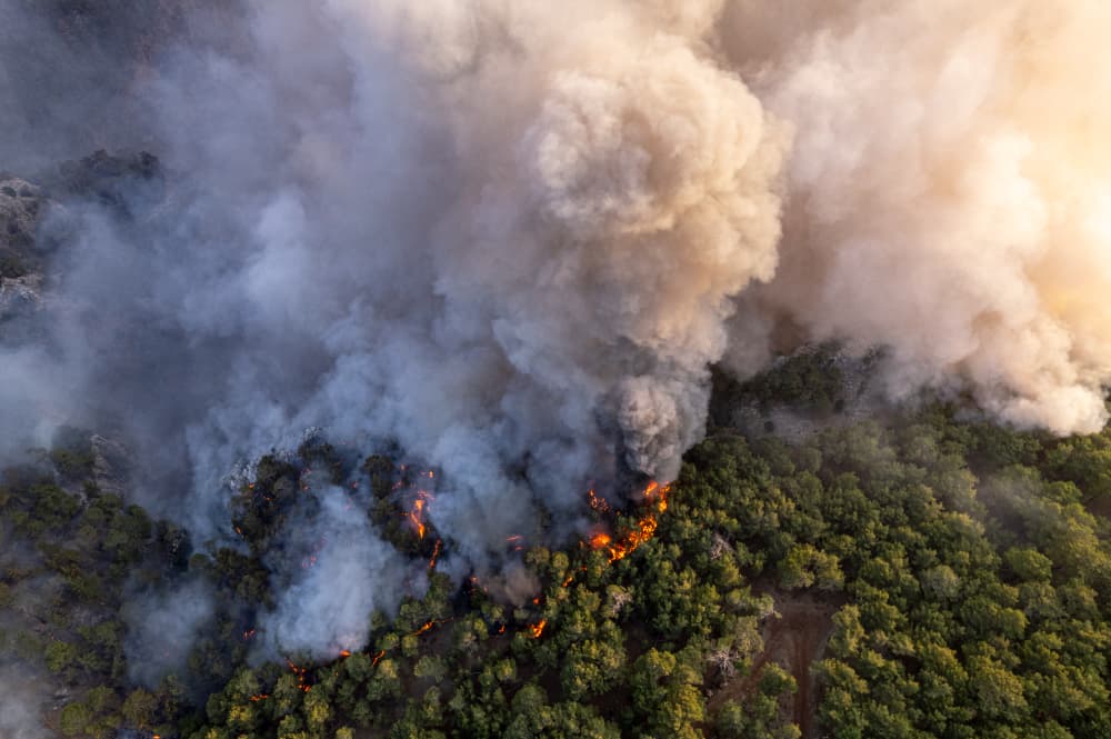 Altas temperaturas aumentam a possibilidade de incêndio florestal