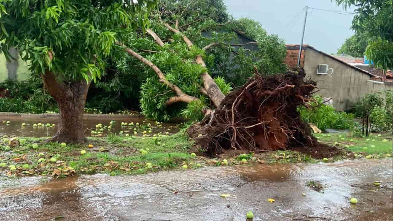 Temporal Com Ventos Fortes Causa Preju Zos A Moradores De Guara No