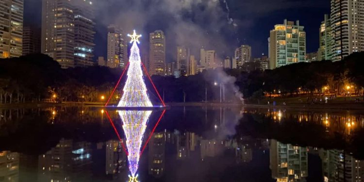 Terceira maior árvore flutuante de Natal do Brasil é exposta em Goiânia