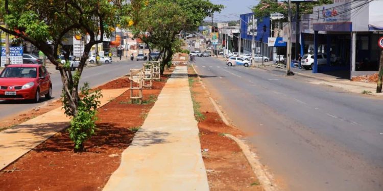 Trânsito na Avenida Rio Verde, em Goiânia, será alterado para obras; veja mudanças 