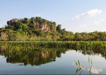 Lagoa da Confusão: conheça o paraíso natural no coração do Tocantins