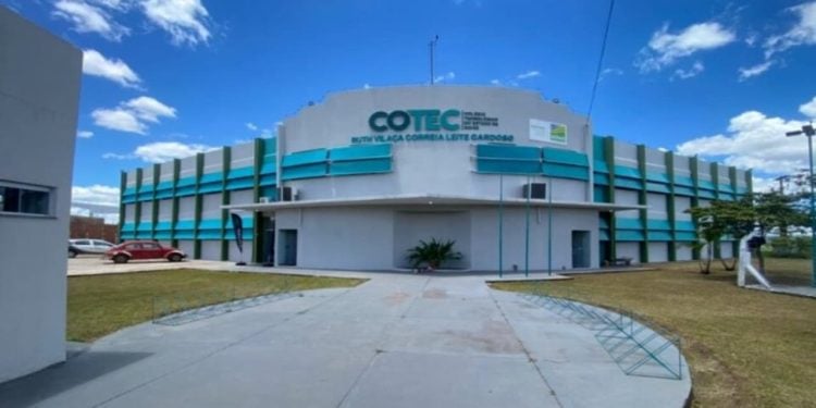 Cotec abre inscrições para 30 mil vagas em cursos profissionalizantes gratuitos