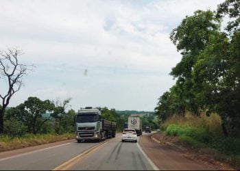 Mais de 14 mil motoristas estão com exames toxicológicos vencidos no Tocantins