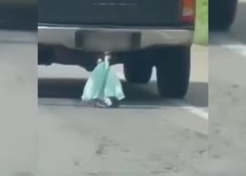 Gato é arrastado dentro de sacola em um engate de caminhonete; veja vídeo