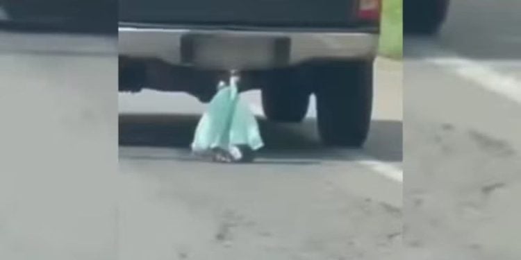 Gato é arrastado dentro de sacola em um engate de caminhonete; veja vídeo