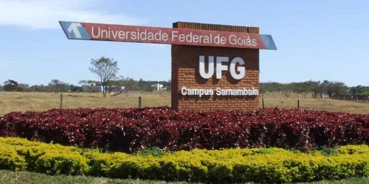 UFG deve ampliar número de vagas e dois novos cursos serão ofertados; confira