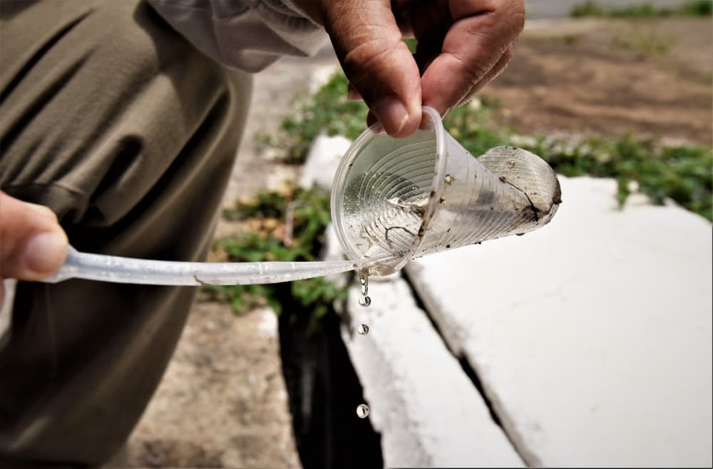 lixo domiciliar contribui para proliferação do Aedes Aegypt
