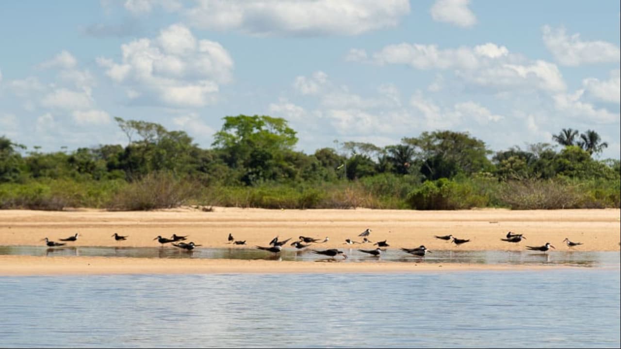 Encantos do Tocantins: Em seis destinos para reposição de energias