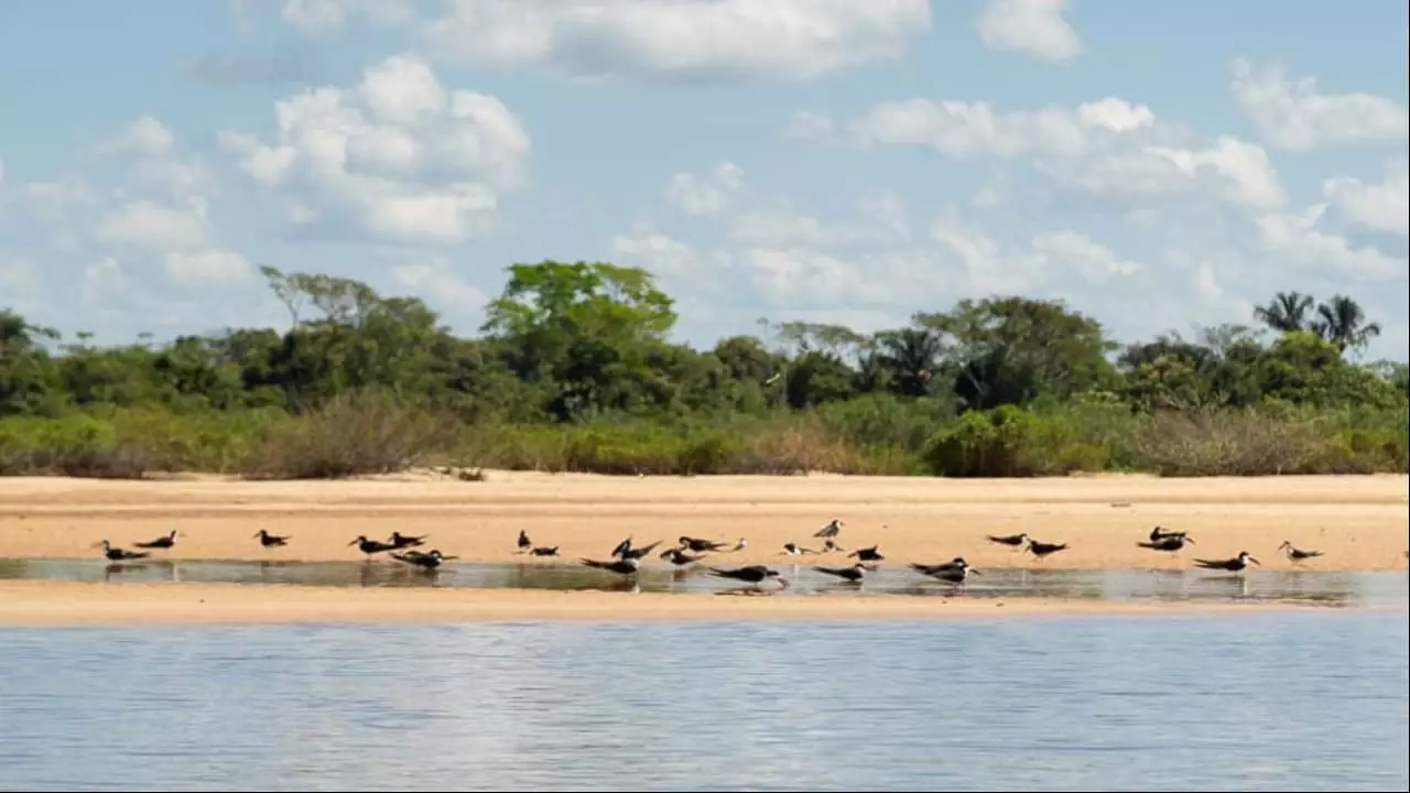 Encantos do Tocantins: Em seis destinos para reposição de energias
