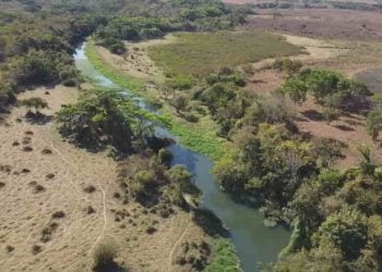 Rio Meia Ponte está em alerta com previsão de seca severa