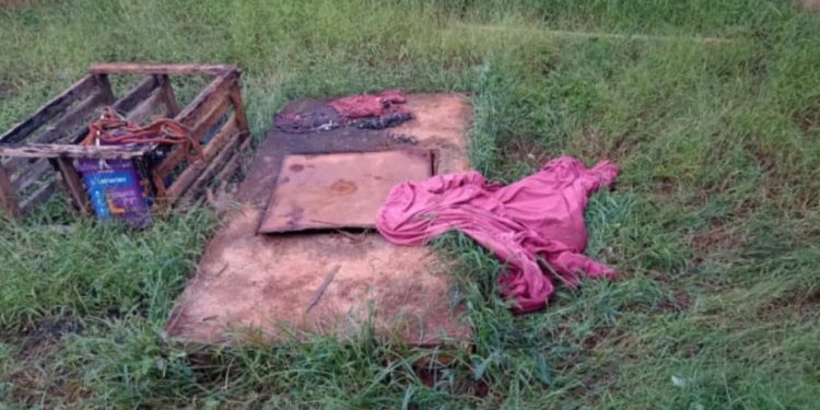 Corpo de recém-nascido é encontrado dentro de fossa, em Goiás
