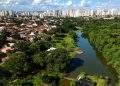 Goiânia recebe título de Cidade Arborizada do Mundo da ONU; entenda