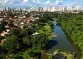 Goiânia recebe título de Cidade Arborizada do Mundo da ONU; entenda