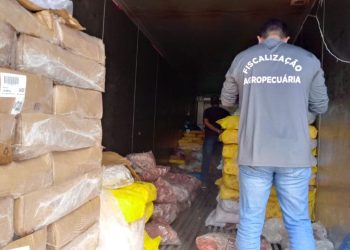 Seis toneladas de carnes podres são apreendidas em depósito de Goiânia