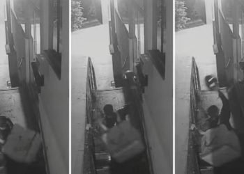 Entregador quebra aparelho de prédio após morador demorar buscar pedido, em Goiânia