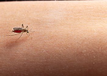 Goiás registra mais de 150 mortes por dengue neste ano