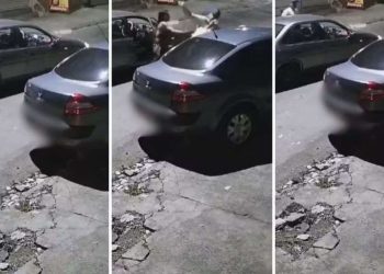 Homem agride motorista na cabeça durante briga de trânsito, em Goiânia; vídeo