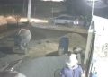 Homem mata mãe e filho após briga por causa de cachorro, em Goiás; vídeo