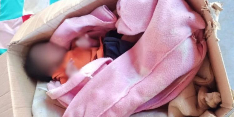 Bebê é encontrada dentro de caixa de papelão às margens de rodovia em Goiás