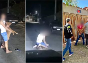 Homem é preso após dar socos em pitbull como 'castigo'; vídeo mostra agressão