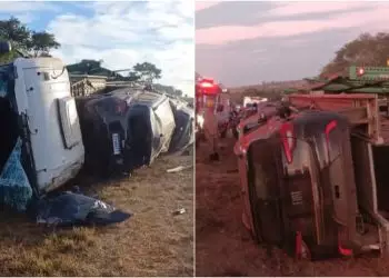 Motorista morre após carreta cegonha com 11 carros tombar na BR-060, em Goiás