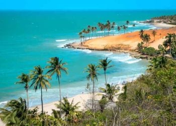 Programa oferece viagens gratuitas para Recife, Fortaleza, Caldas Novas e outras cidades