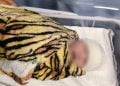 Recém-nascida raptada em hospital de Minas Gerais é encontrada em Goiás