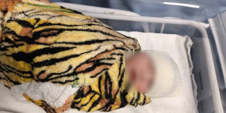 Recém-nascida raptada em hospital de Minas Gerais é encontrada em Goiás