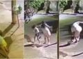 Vídeo Mãe é flagrada espancando filha após ela tocar campainha e correr, em Anápolis