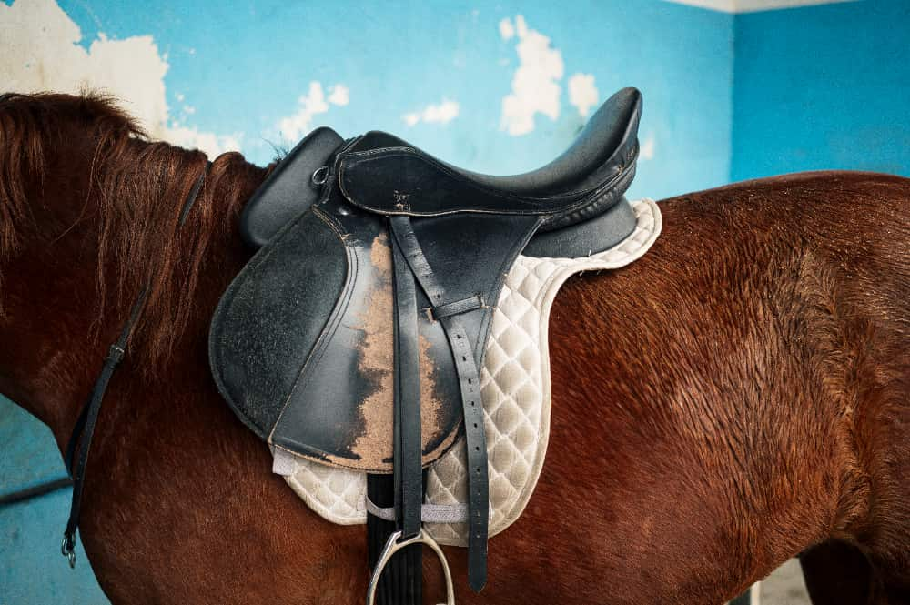 Menina cai de cavalo em cavalgada em Goiás