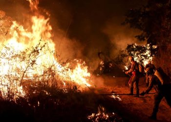 Goiás decreta situação de emergência em 20 municípios afetados por incêndios