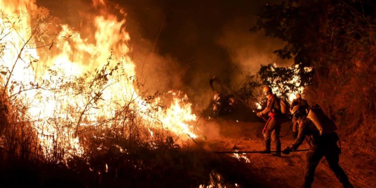 Goiás decreta situação de emergência em 20 municípios afetados por incêndios