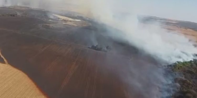 Incêndio atinge fazendas em Goiás e produtores tentam combater as chamas