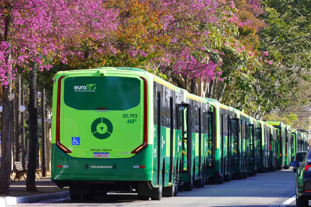 ônibus do transporte coletivo