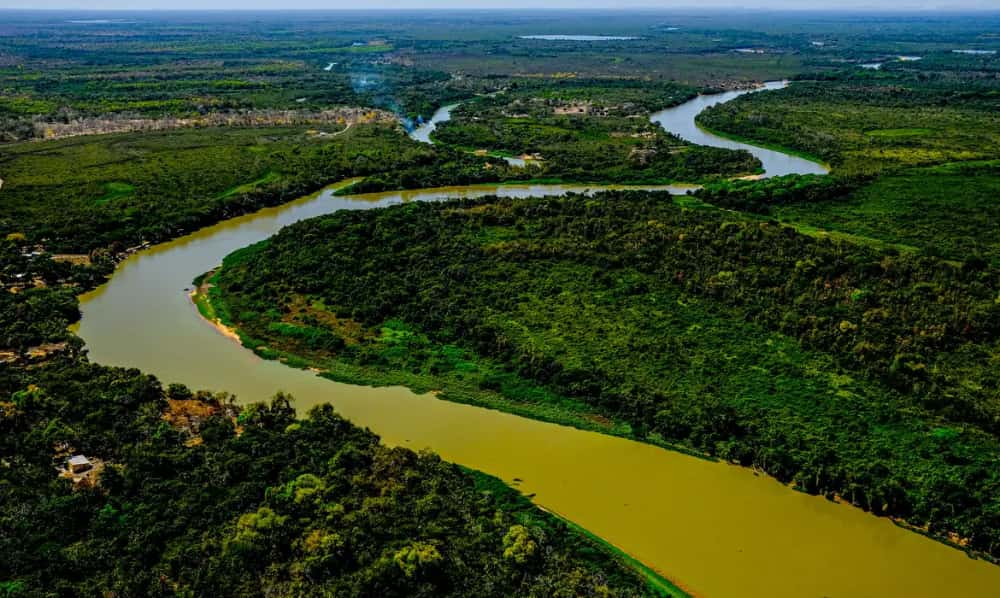 viagem gratuita para o Pantanal